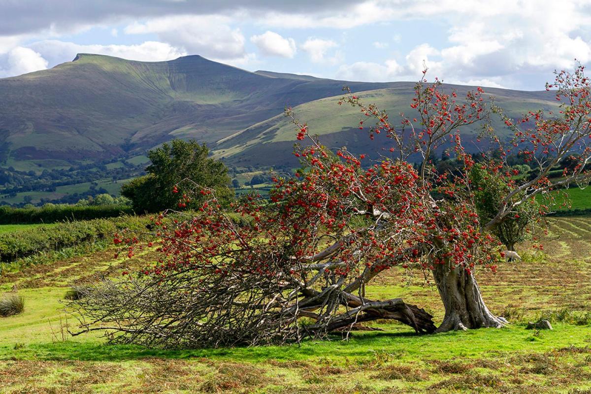 Picturesque 2 Bedroom Miners Cottage Near Bike Park Wales & Brecon Beacons Merthyr Tydfil Exterior foto